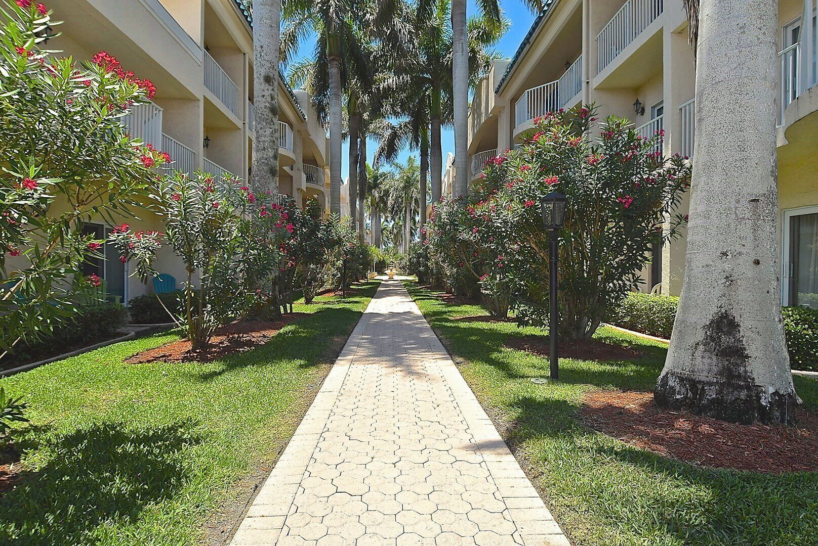 Un chemin bordé de palmiers et de plantes fleuries, qui mène à un bâtiment doté de balcons.