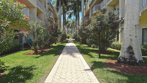 Un sendero bordeado de palmeras y plantas con flores, que conduce a un edificio con balcones.