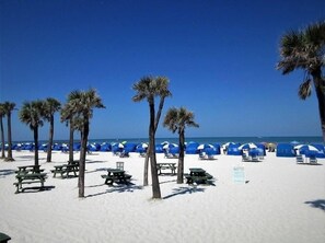 Camastros y toallas de playa