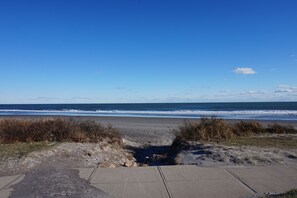 Sun loungers, beach umbrellas