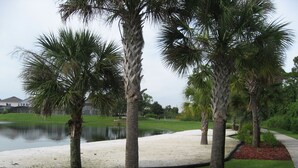 A landscaped area with palm trees, a pond, and a pathway.
