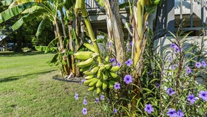 A building with a large lawn, banana trees, and purple flowers. - View the Beach from your porch.  
Best location, 5 blocks to downtown  (Biloxi)