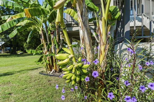 View the Beach from your porch.  
Best location, 5 blocks to downtown 