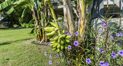 View the Beach from your porch.
Best location, 5 blocks to downtown
