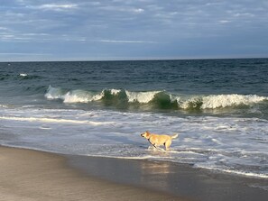كراسي للتشمس، مناشف للشاطئ