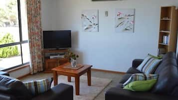 Televisión, reproductor de DVD, libros y estéreo