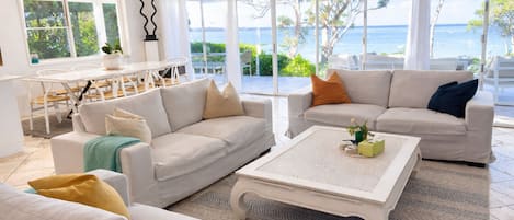 Smart TV, chimenea, Netflix, reproductor de DVD