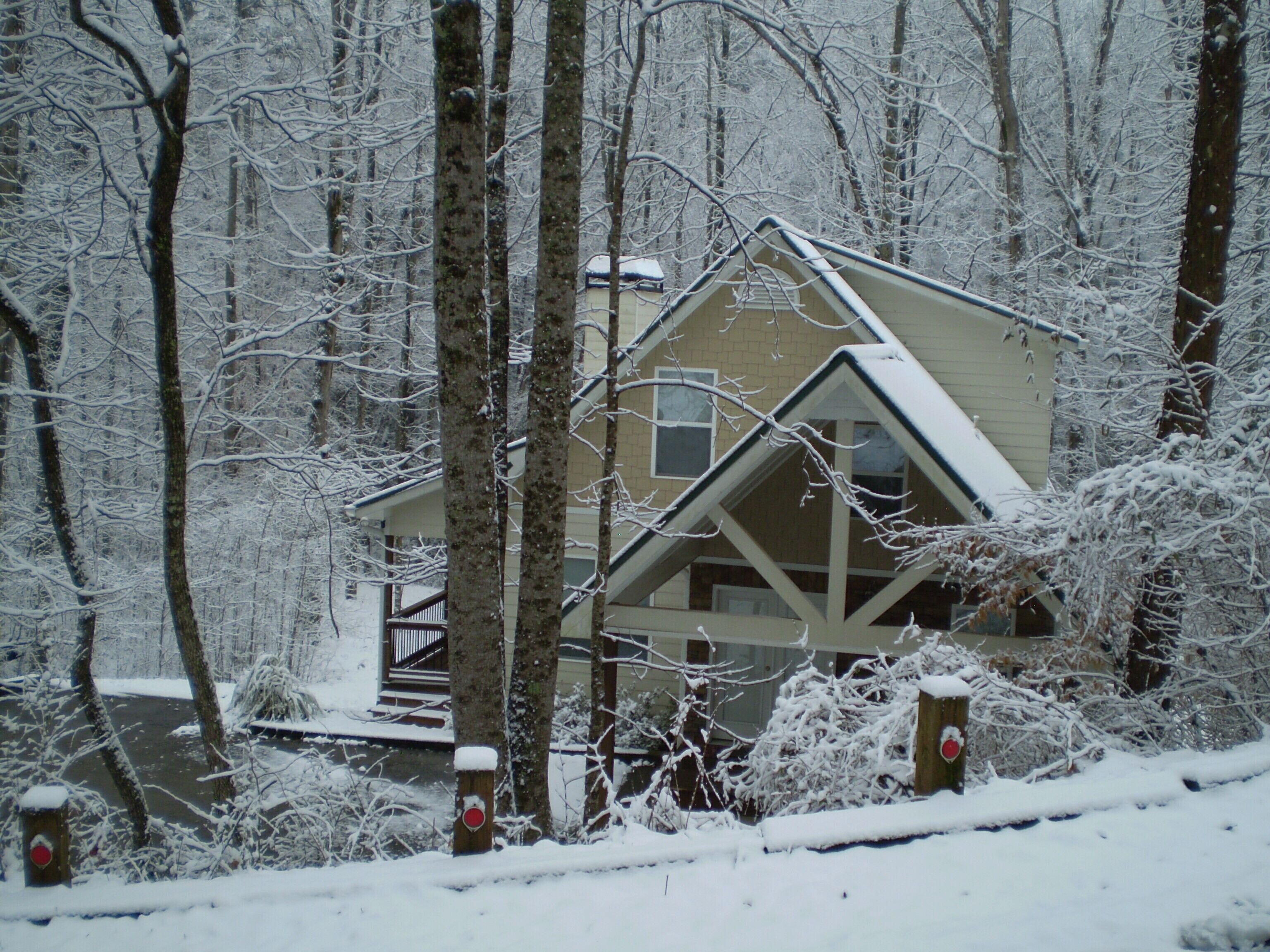 A cabin surrounded by snow-covered trees.