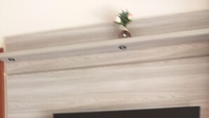 Una sala de estar moderna con un televisor de pantalla plana montado en una pared de madera, un mueble de entretenimiento negro debajo y una pequeña planta en la pared.