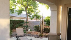 Un espace extérieur aménagé en terrasse, avec une table et des chaises, un cactus et un arbre.