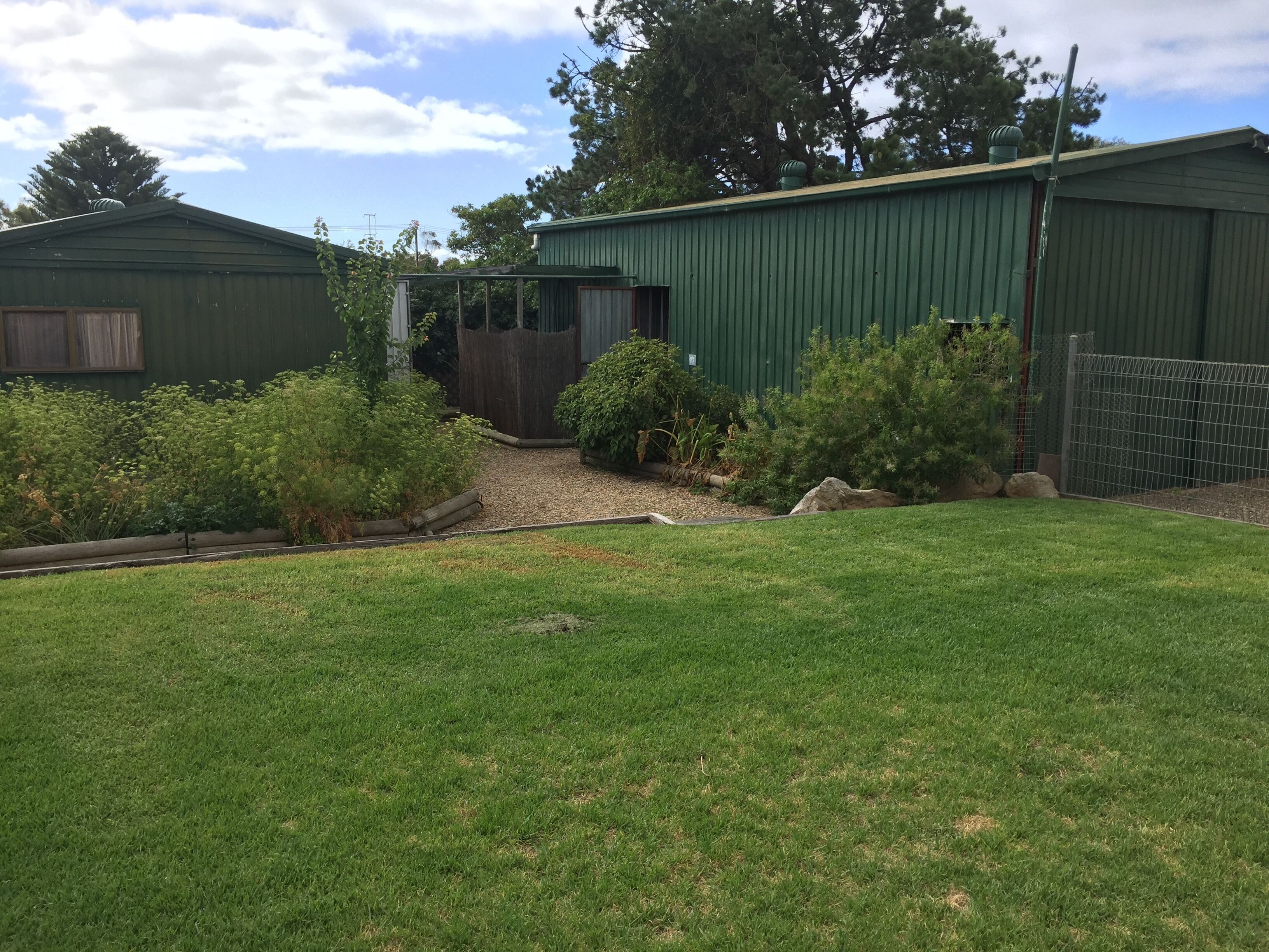 Un patio cercado con área verde, una estructura de madera y un edificio esmeralda.