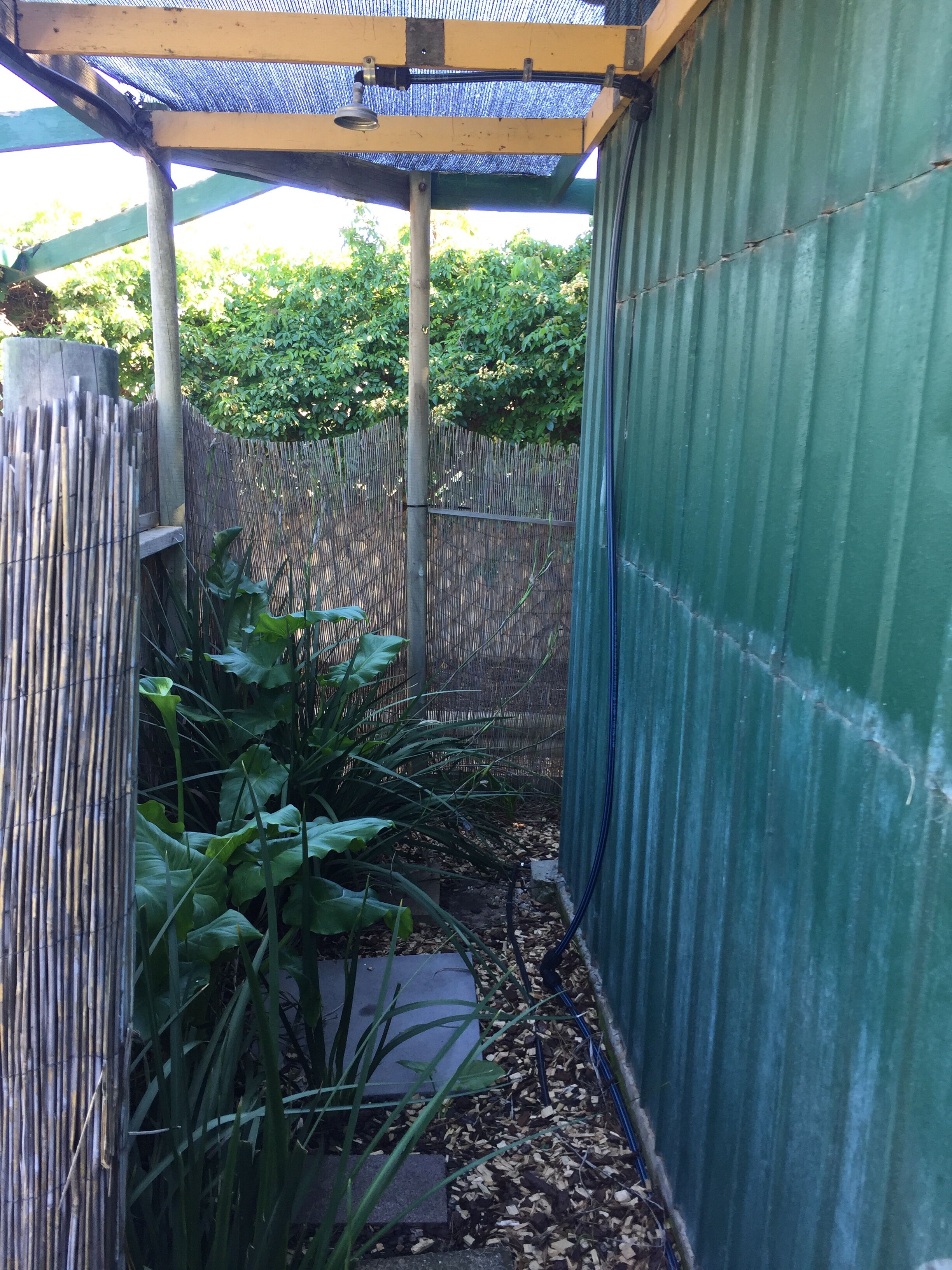 A covered outdoor area with a bamboo fence, a metal gate, and a green wall.