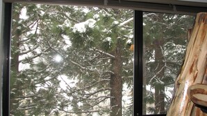 Een uitzicht op besneeuwde bomen.