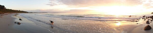 On the beach