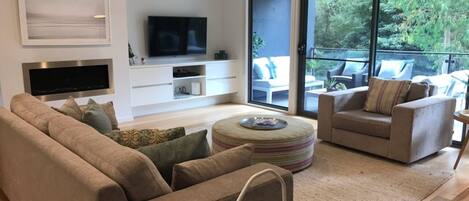 Smart TV, fireplace, DVD player, books