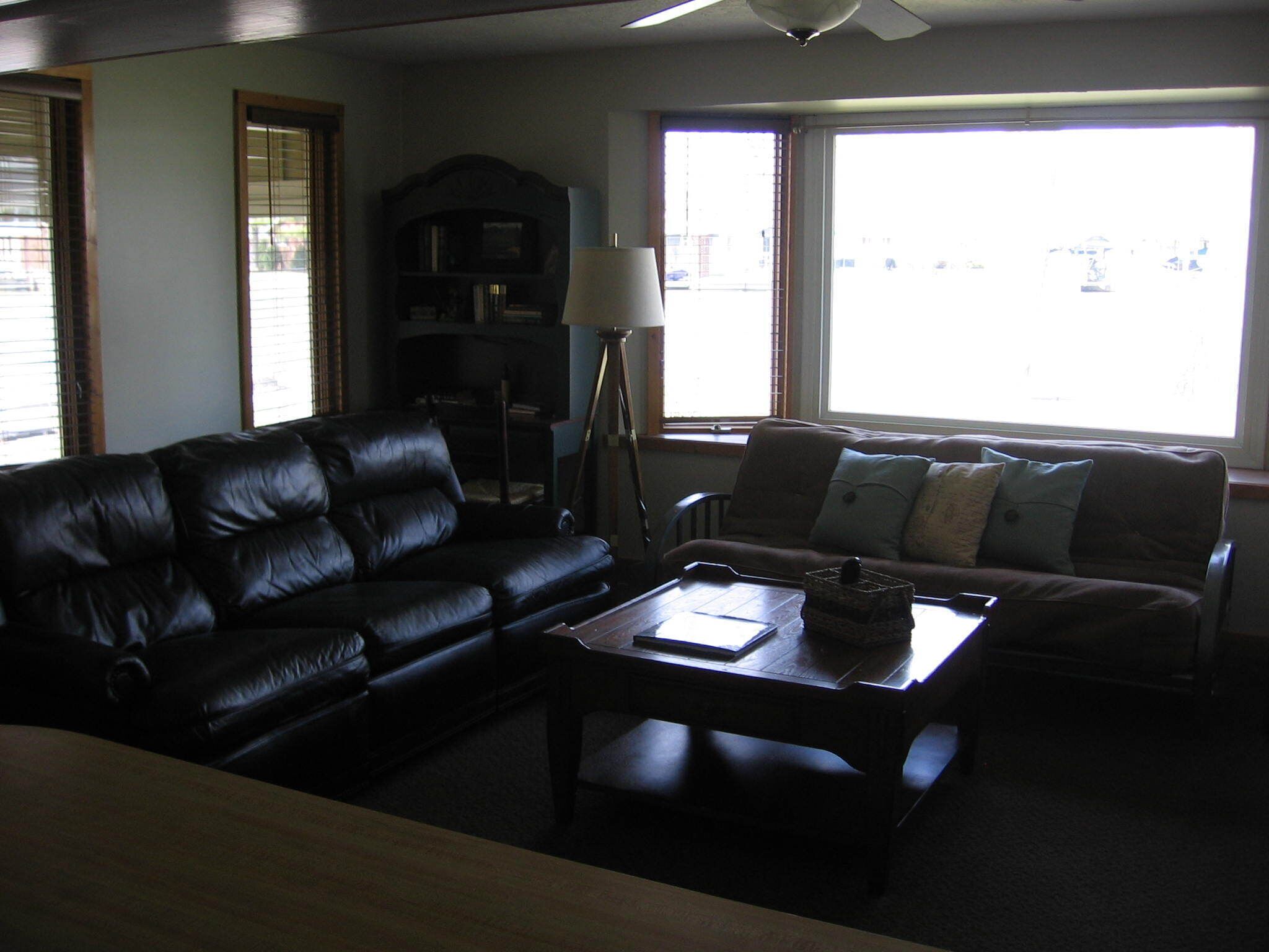 Télévision, cheminée, lecteur de DVD