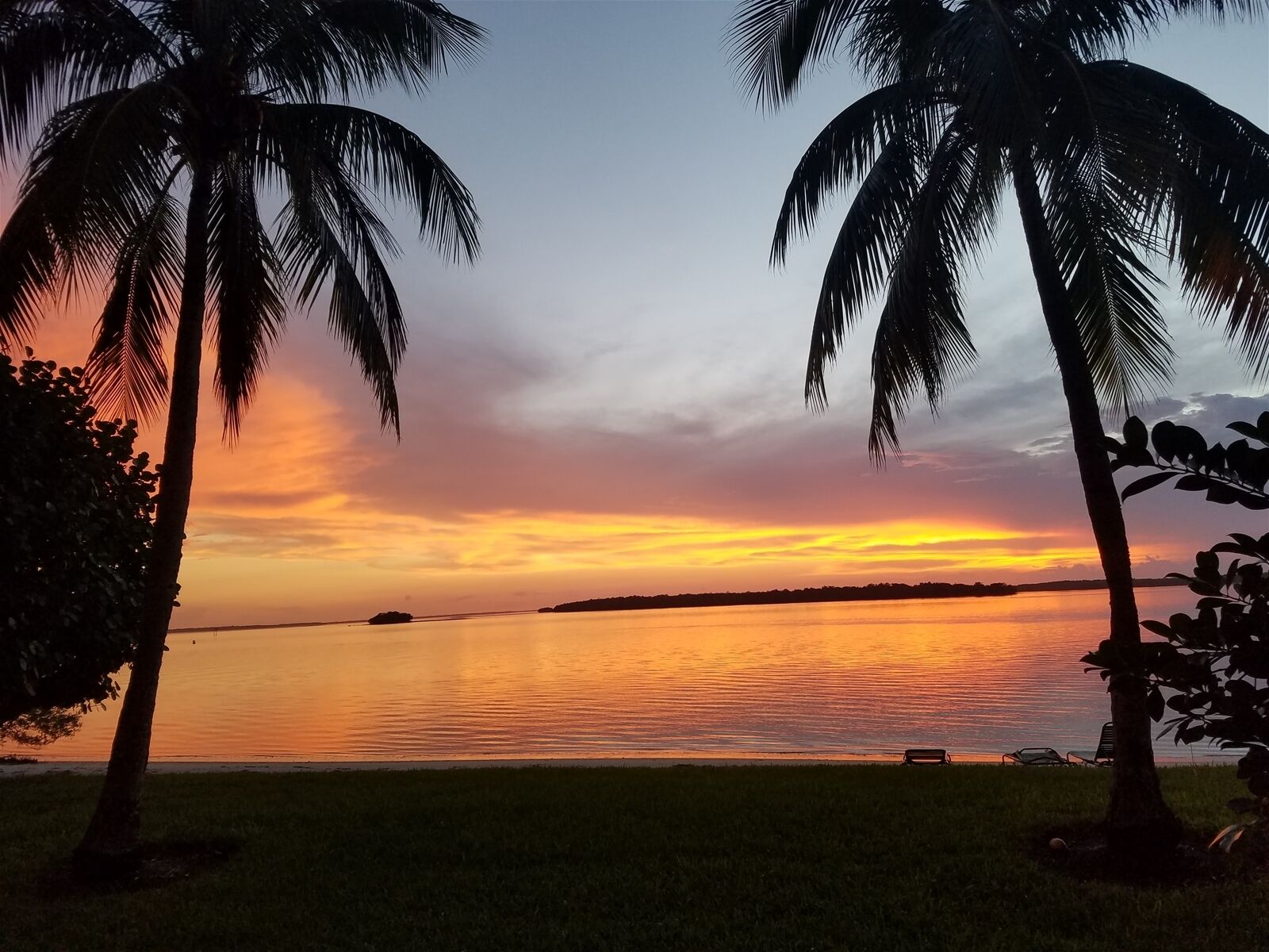 Une vue magnifique sur le coucher de soleil, avec un plan d’eau paisible et des palmiers encadrant le paysage.
