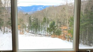 Ein Fenster mit Blick auf einen verschneiten Wald und Berge.