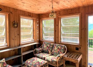 TV, fireplace, video games, DVD player