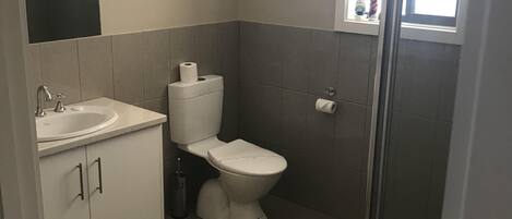 Une salle de bain avec des toilettes, un lavabo et un miroir.