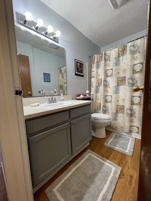 A bathroom with a vanity, sink, mirror, and toilet. There is a shower curtain with a sea shell pattern. - Escape to the Lake!      (Port Clinton)