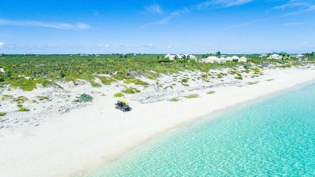 Uma praia com águas turquesa cristalinas, areia branca e vegetação dispersa.