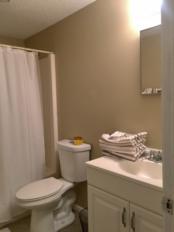 A bathroom with a toilet, a sink, and a mirror. - 3/2 On Dunn-Single Family"BrightHouse" VI FU (Jacksonville)