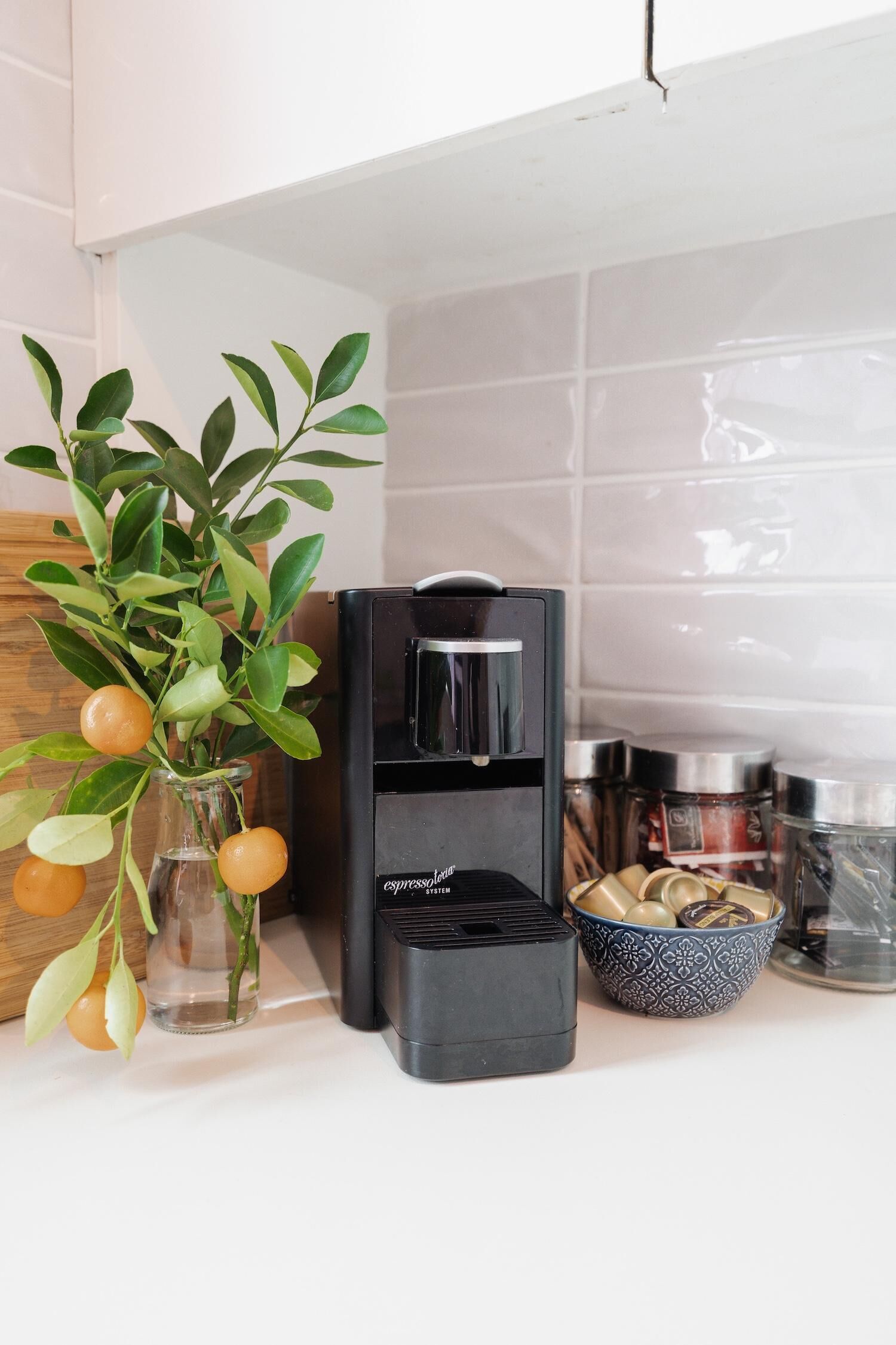 Un comptoir de cuisine avec une machine à café, une plante décorative ornée de fruits et des récipients à épices.