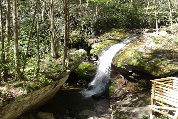 Otter Falls.....10 minute walk !!!