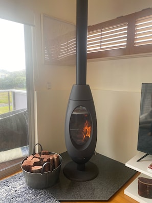 A modern wood-burning stove with a glass front, a metal bucket of firewood, and a view of the outdoors through a window.
