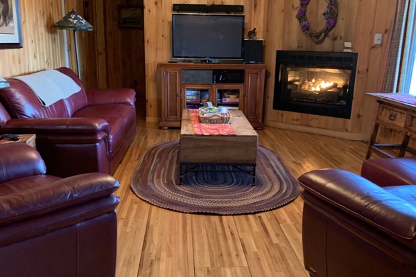 Smart-tv, pejs, videospil, dvd-afspiller