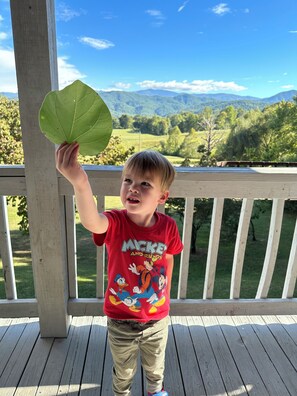 Property grounds - Tennessee's Finest Smoky Mountain Vacation Rental Getaway! (Townsend)