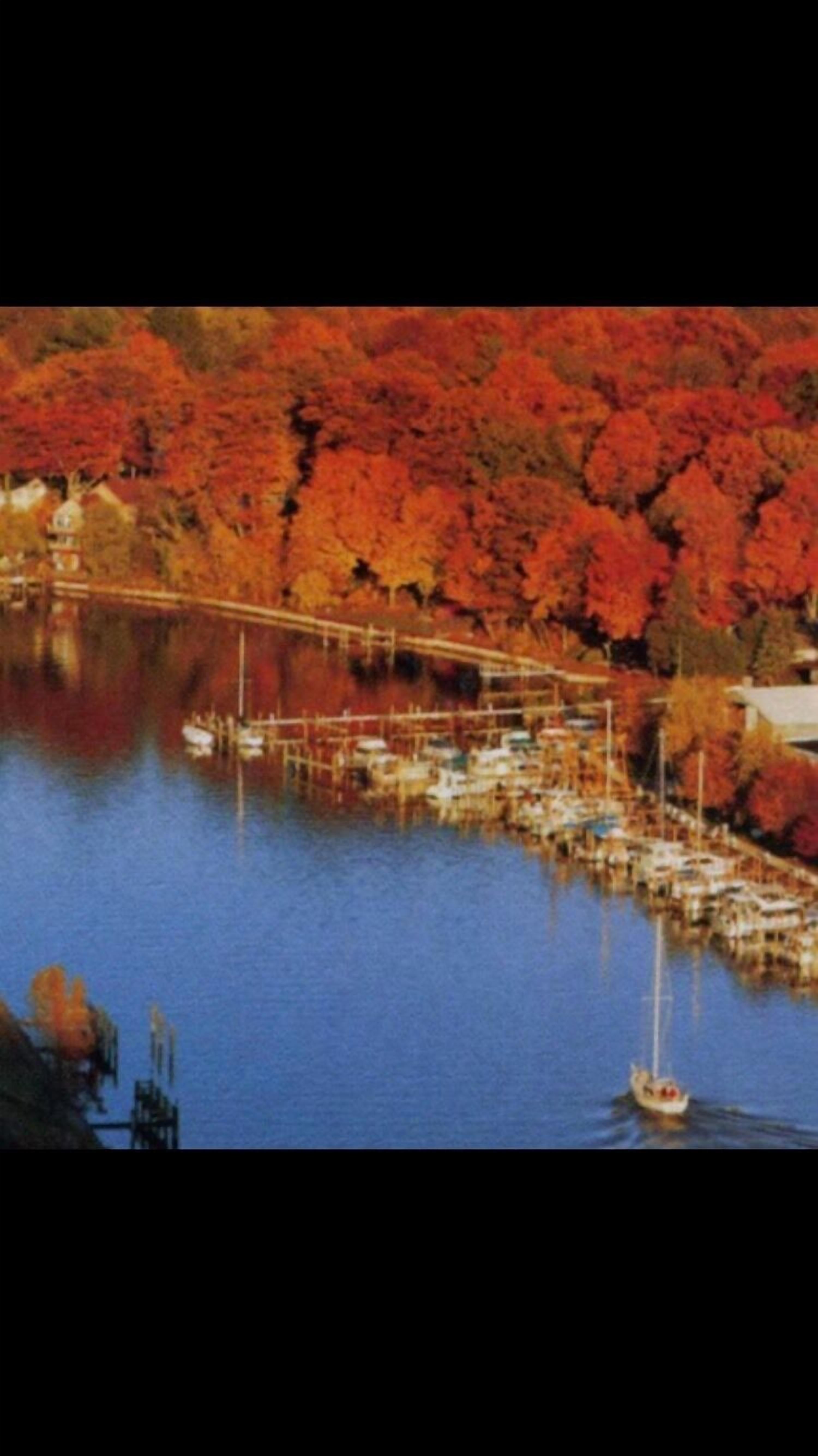 Great Fall trip for colors in the Harbor. 