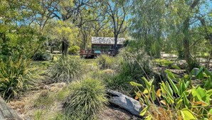 A rustic cabin surrounded by dense vegetation and trees.
