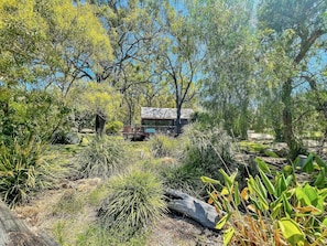 Escape to a serene cabin nestled within a lush garden, surrounded by tall grasses and shrubs.