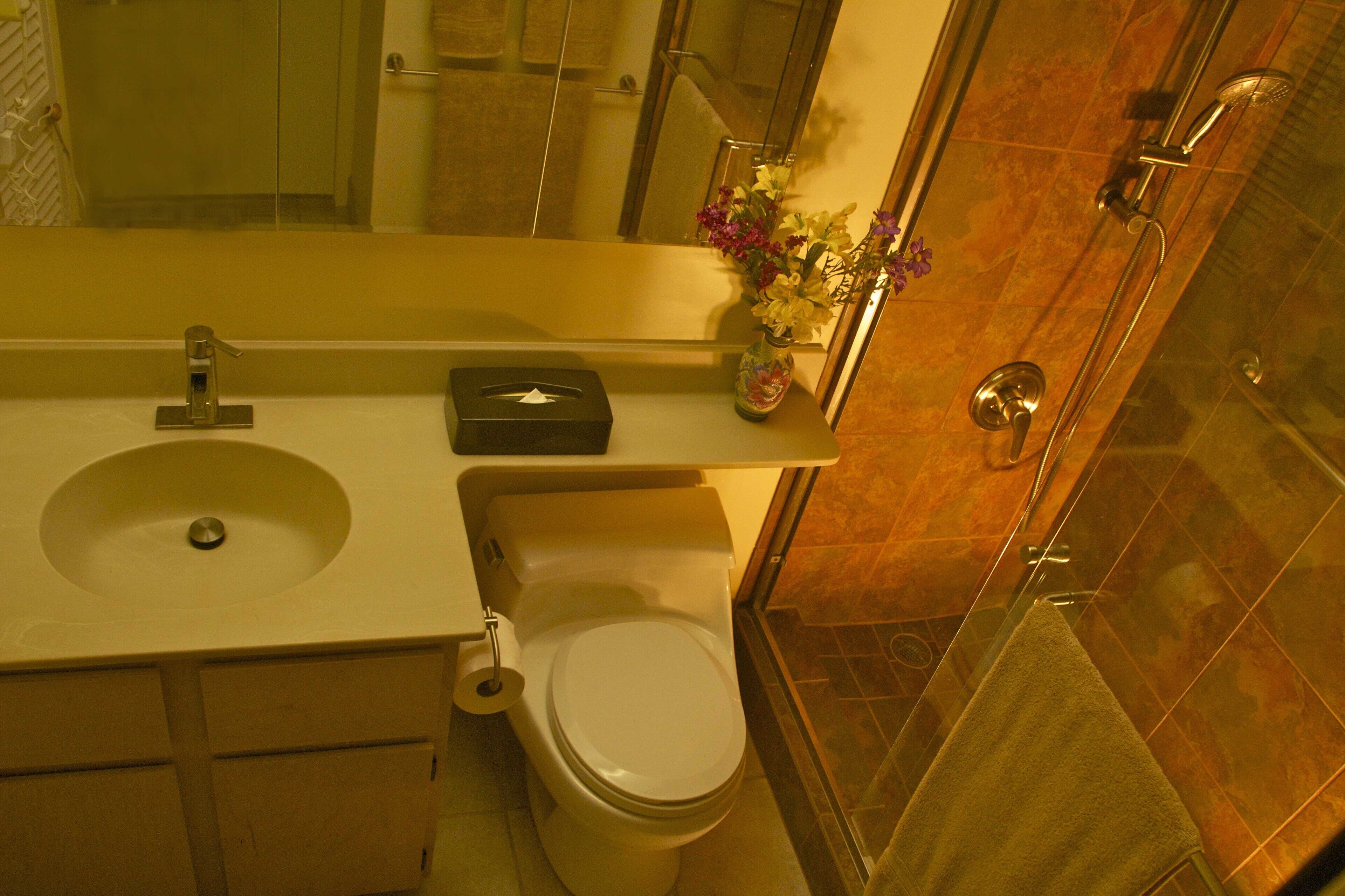 Shower, hair dryer, towels, soap