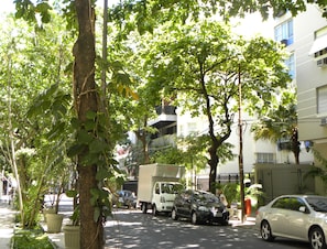 Área da propriedade