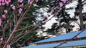 住宿地面