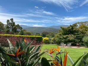 Property grounds - Mon Desir - Yarra Valley (Yarra Ranges)