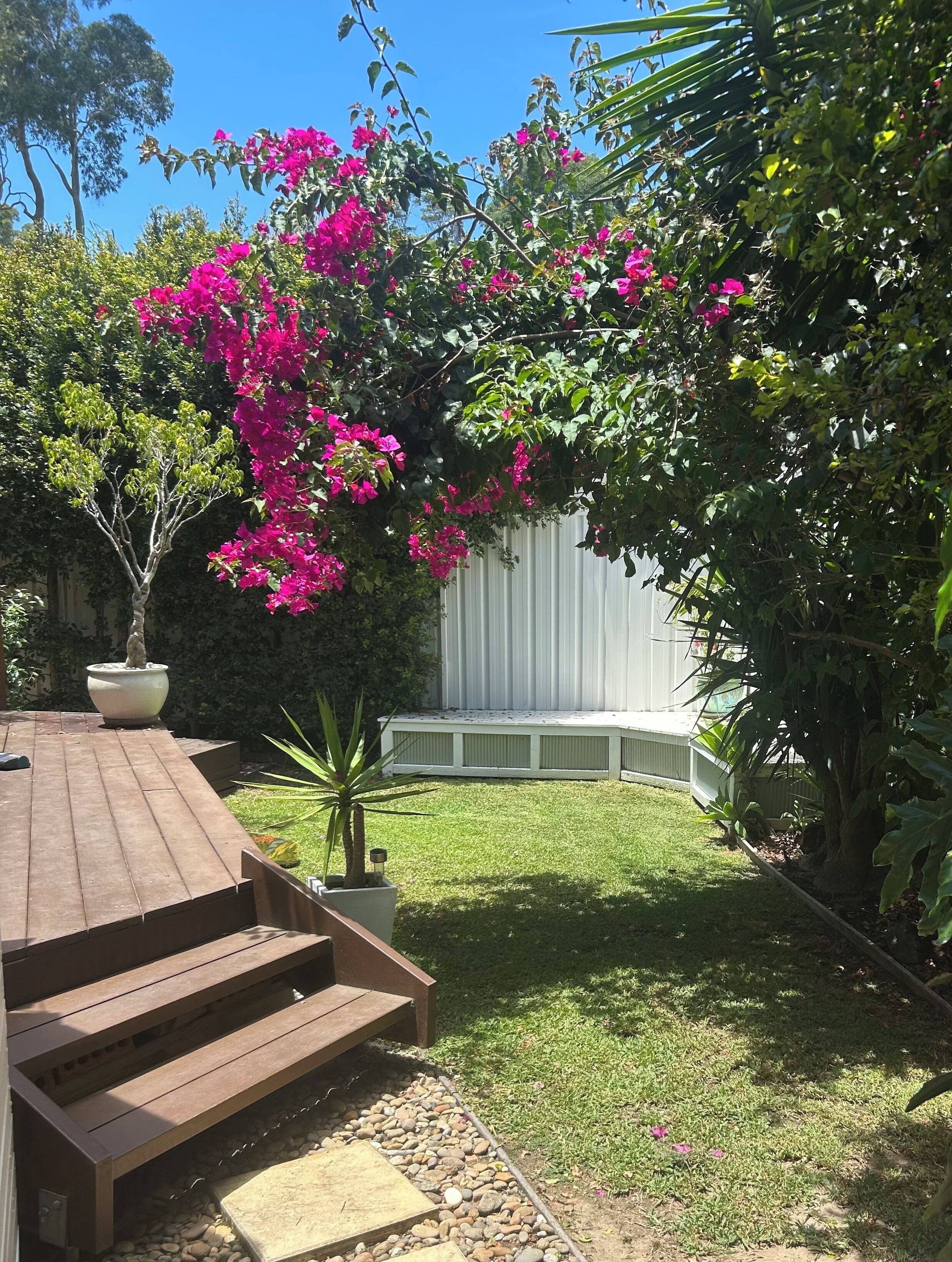 テラス / パティオ