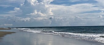 Beautiful views, tortoises, dolphins and more!