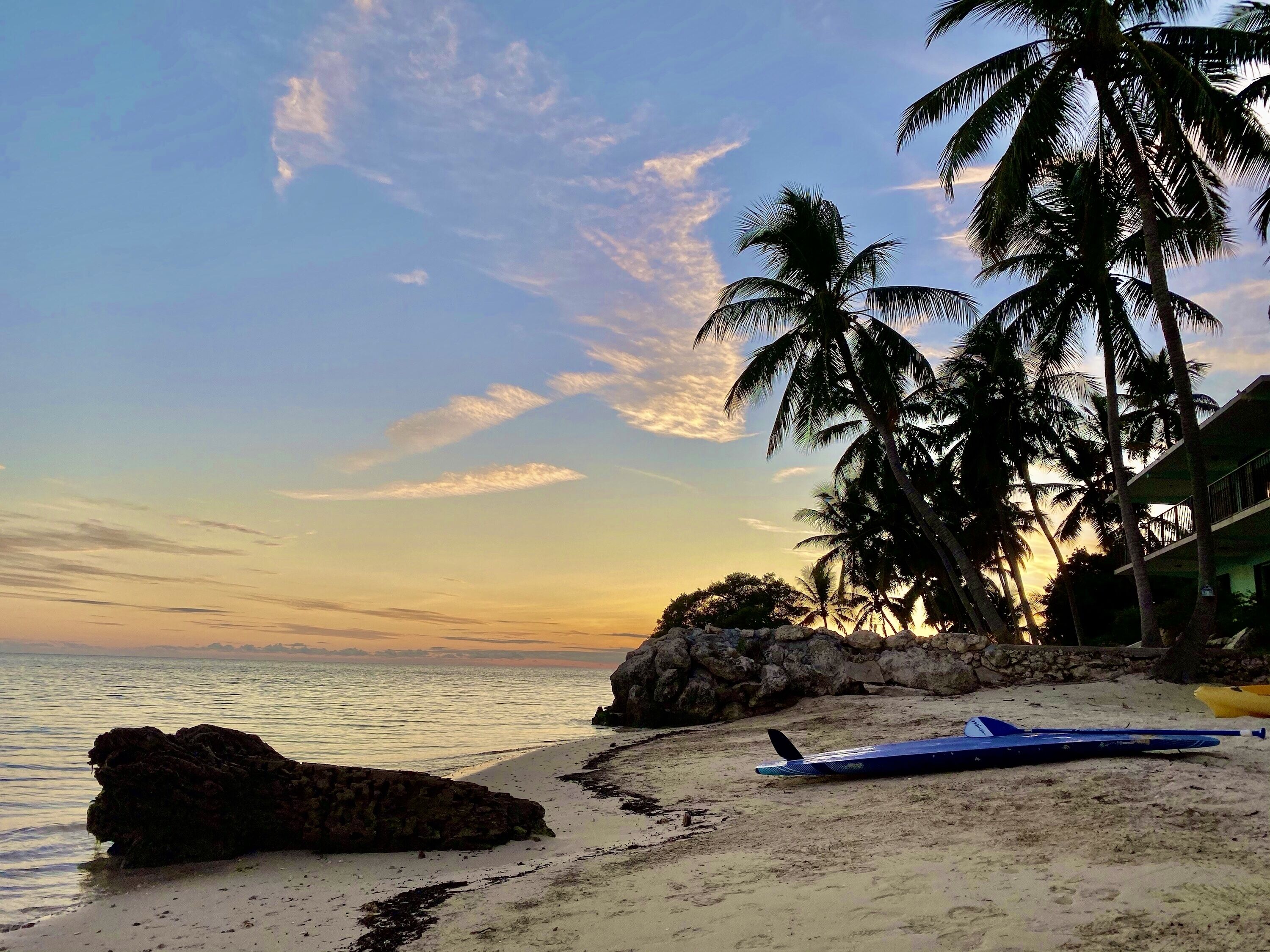 A beach with palm trees, a rocky outcrop, and a building in the background.