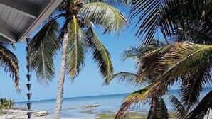 A beach view with palm trees and a clear sky. - Beach Dream House, relax and enjoy the clear waters of Islamorada  FL  (Islamorada)