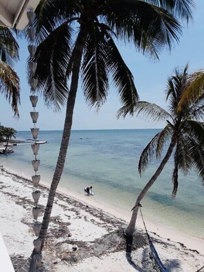 On the beach, sun-loungers, beach towels - Beach Dream House, relax and enjoy the clear waters of Islamorada  FL  (Islamorada)