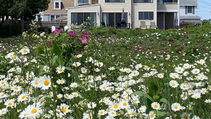 Een twee verdiepingen tellend huis met een veranda en een tuin vol margrieten.