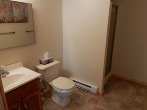 Combined shower/bathtub, hair dryer