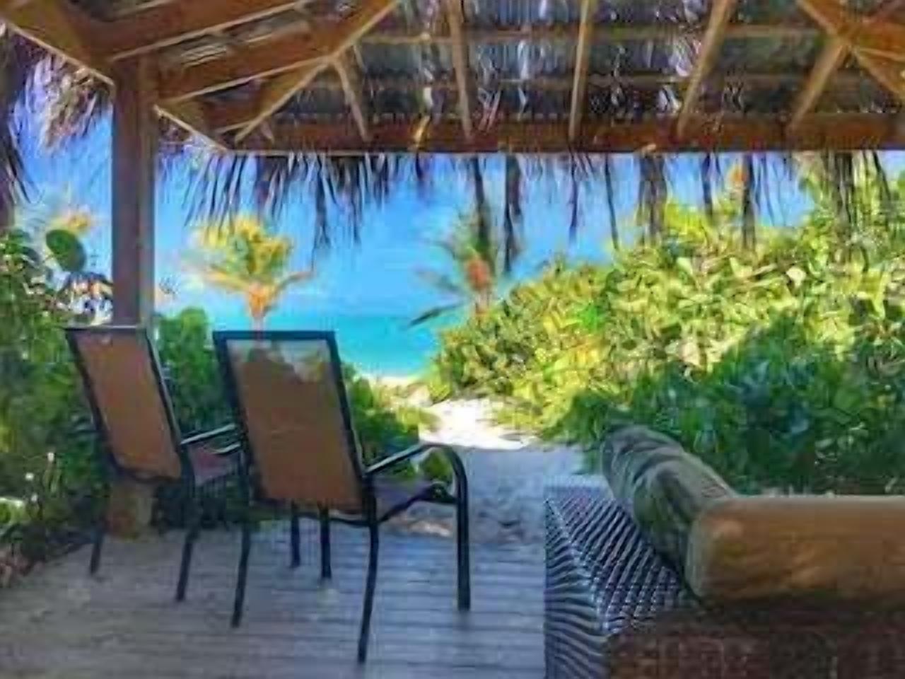 テラス / パティオ