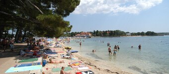 4 bedroom holiday house with private pool in village Sveti Kirin, pet friendly