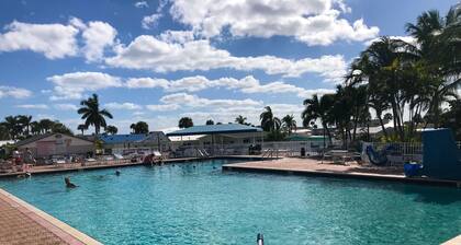 Nettles Island - Beach House -teema