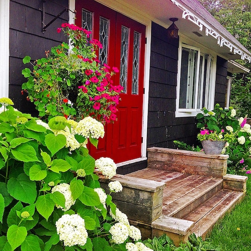 Potter's Cottage in Lovely Margaree Valley